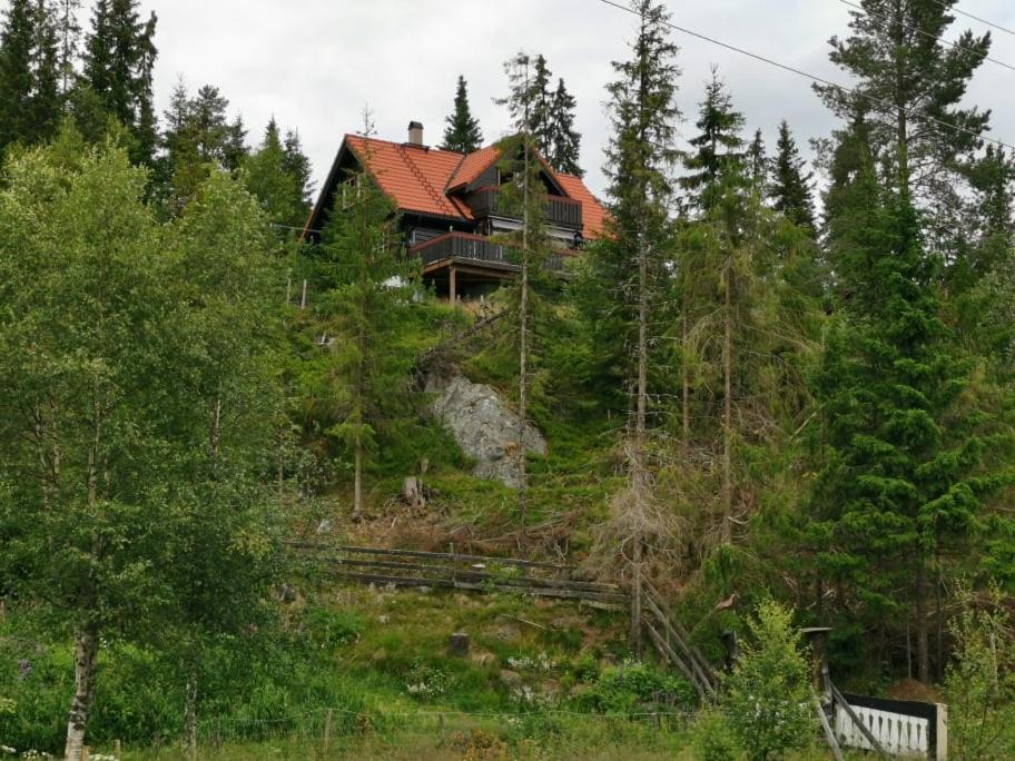 Casa San Gottardo - The Forest House, Etnedal Bagian luar foto